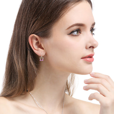 s925 silver zircon earrings Ainuua