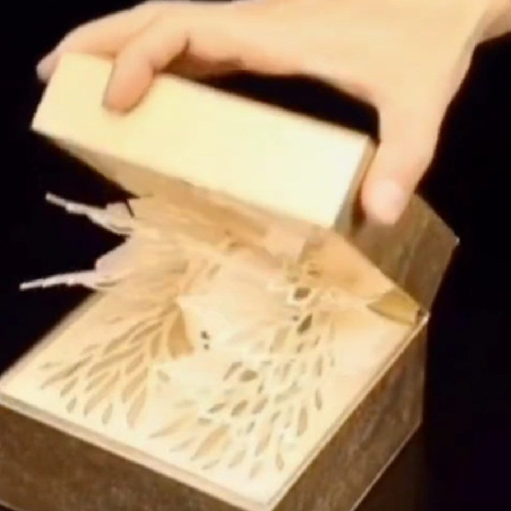 Three-dimensional Paper Carving Storage Box Ainnua